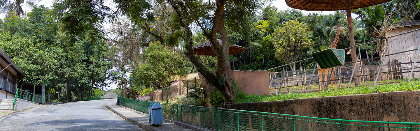 attractions.section1.image.link.desktop