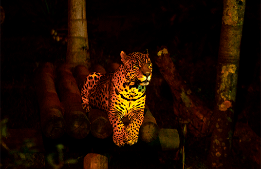 attractions.section2.block1.image1.link.desktop