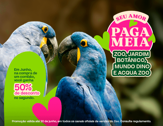 COMPRAR INGRESSO