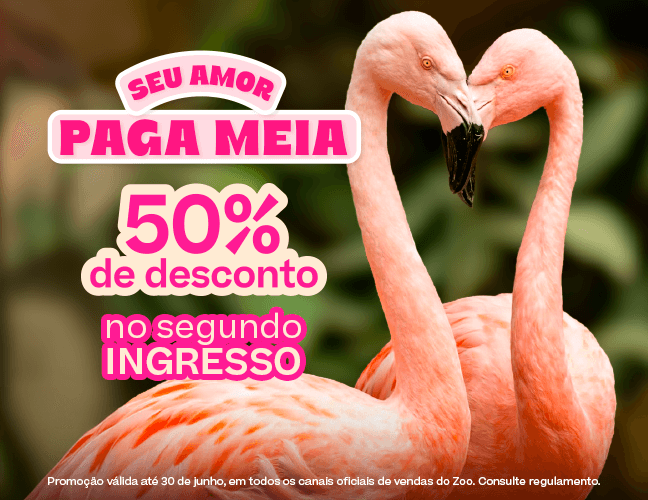 COMPRAR INGRESSO