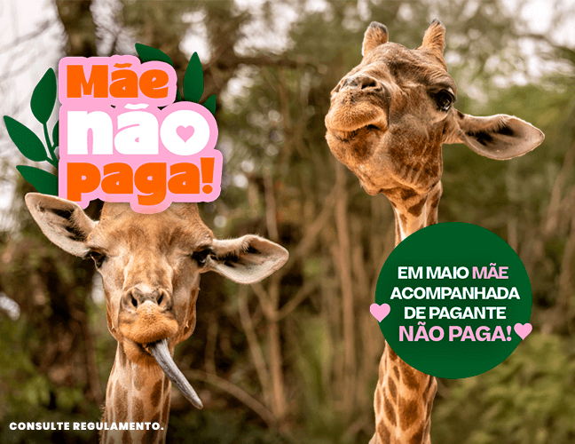 COMPRAR INGRESSO