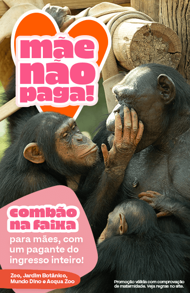 Férias no Zoo
