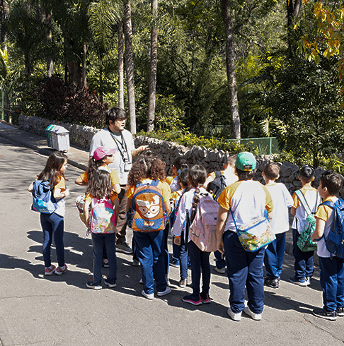 Grupo de estudantes em visita escolar