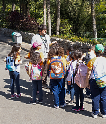Grupo de estudantes em visita escolar