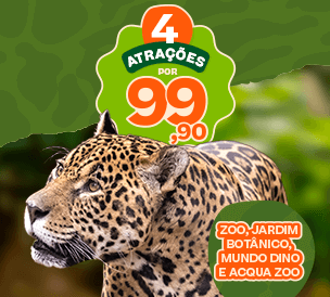 COMBÃO 4 EM 1