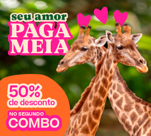 COMBÃO 3 EM 1