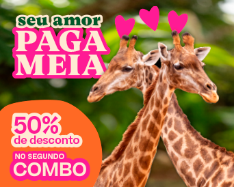 COMBÃO 3 EM 1