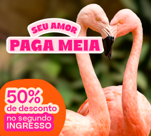 INGRESSO AVULSO ZOO
