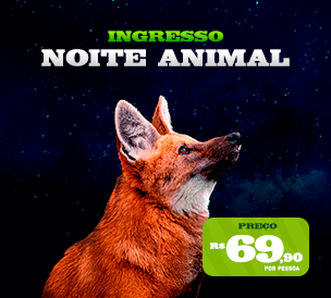 ANIMAL NIGHT