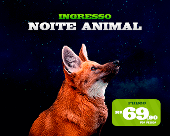 ANIMAL NIGHT