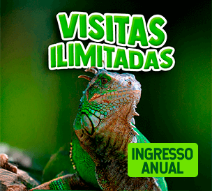 ANNUAL PASS