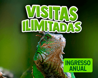 INGRESSO ANUAL