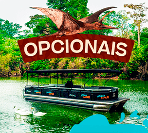 OPTIONAL