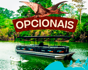OPCIONAIS