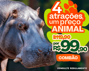 4-IN-1 COMBO PACK