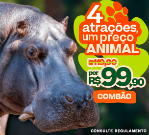4-IN-1 COMBO PACK