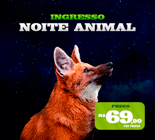 ANIMAL EVENING