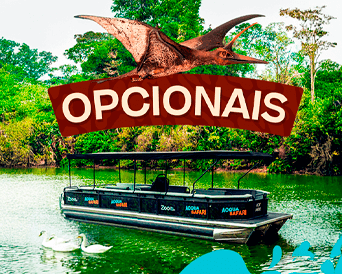  OPTIONAL EXTRAS