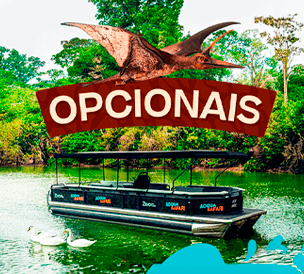  OPTIONAL EXTRAS