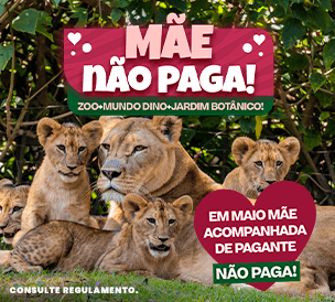 COMBÃO 3 EM 1