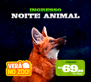 NOITE ANIMAL