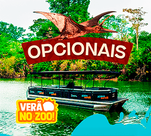 OPCIONAIS
