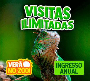 INGRESSO ANUAL